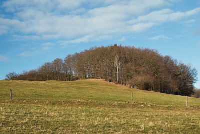 Pastviny /17.1.2023 /