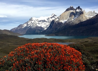 Patagonie.jpg