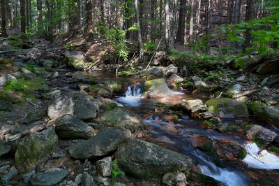 Peřeje Bílé Opavy