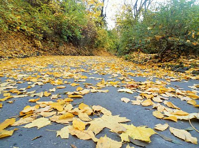 Petřín