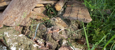 Právě jsem se ztratil