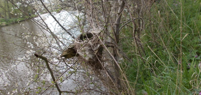 Stále čekám........