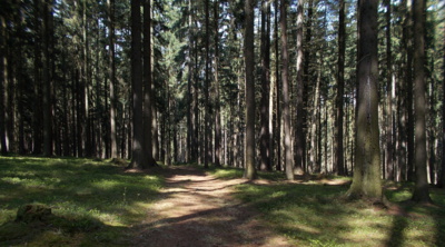 Hra světla a stínu.