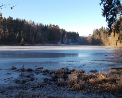 Nový rok u rybníka