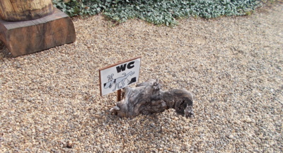 Pro Bertíka i jiné