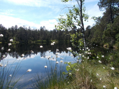 Vzpomínka na Rejvíz-nesoutěžní