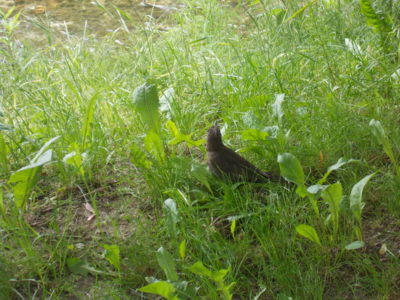 Já s tebou nemluvím