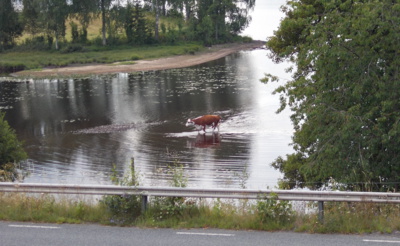 Rašelinová koupel-Švédsko