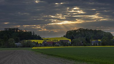 Podvečerní májová ...