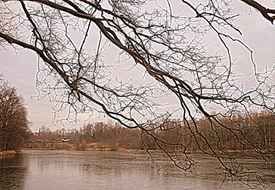 Podzámecký rybník