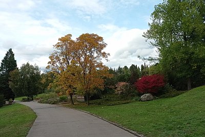 Barevný podzim .....