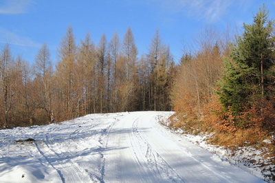 Podzimní ze 17.12.2016