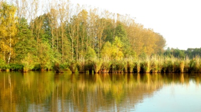 Podzimní zrcadlení