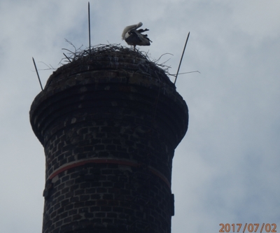 Pořádné základy pro bydlení...