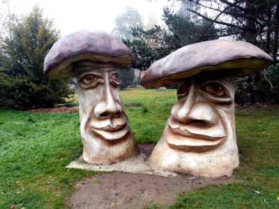 Poslední houby sezony