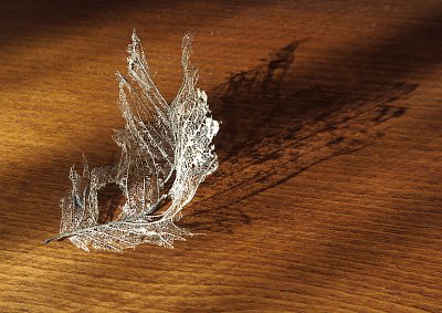 Poslední tanec starého listu ... *