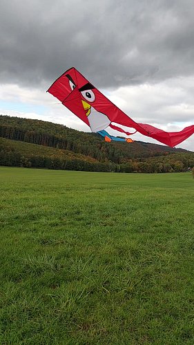 Foto ze startu