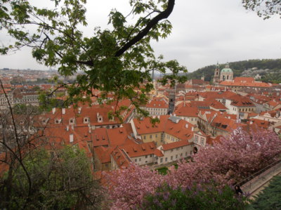 Praha