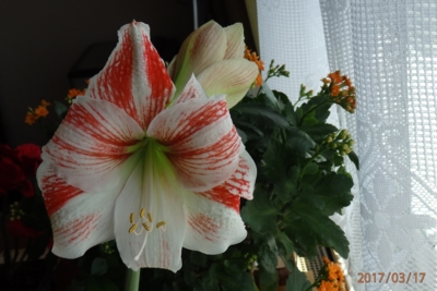 Právě dnes jsem se otevřel..