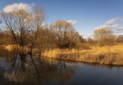 Předjaří u Dědiny