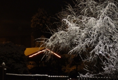 Předvánoční nálada..