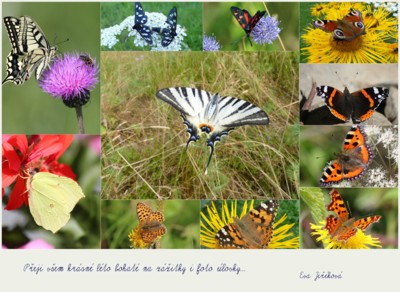 Začaly prázdniny, přeji všem krásné léto....