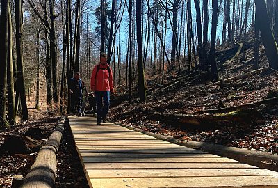 Turisté mpohou využít novou přeshraniční trasu v Českosaském Švýcarsku