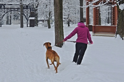 Přetahovaná v parku