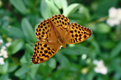 Přiletěl jsem o den dříve