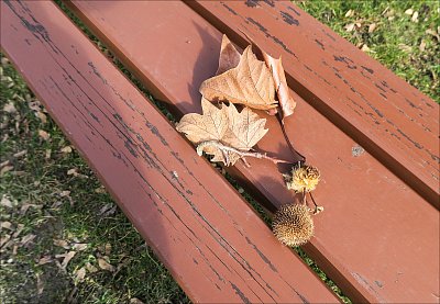 Přisedla jsem si ... *