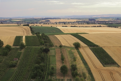 Prokoukla ........ Radku, děkuji za rady