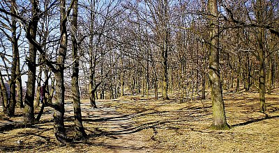 Únor, když příroda spí