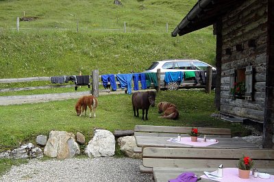 Alpská, pozdně jarní idylka při kávě. *