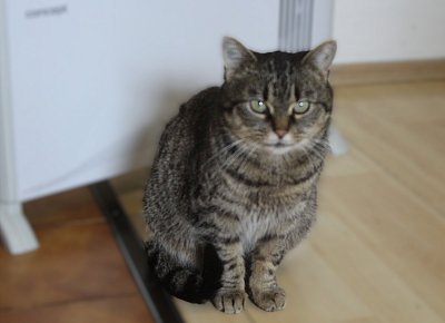 Vlastním jménem Ferda