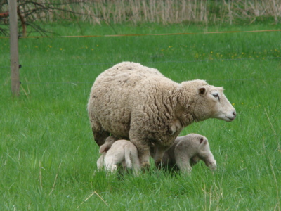 Děti,úsměv....a řekněte "sýr" !!!