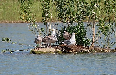 Už jsme u vás, děti ♥ *