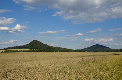 Léto v plném proudu (Ronov a Vlhošť)