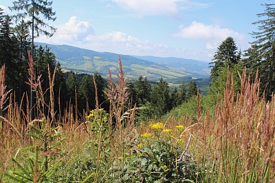 Pohled k sousedům na Slovensko