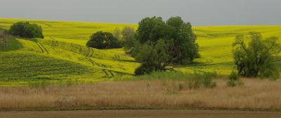 Rozvlněná Morava (2)