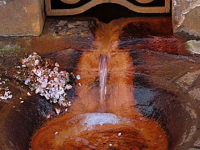 Dal jsem jméno celému městu - Roudnice *