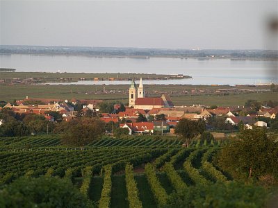 Rust wein (1).JPG