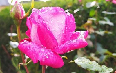 Aničkám k svátku ♥♥♥ *