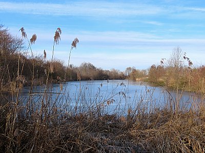 Tiché ráno u rybníka