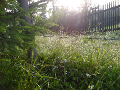 Perlové náhrdelníky