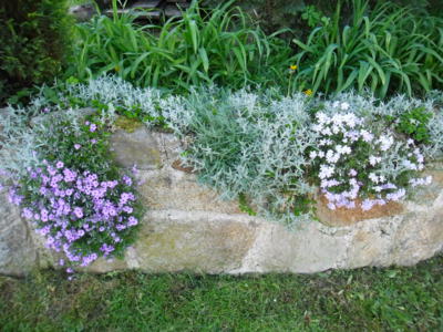 Jaro v plném proudu