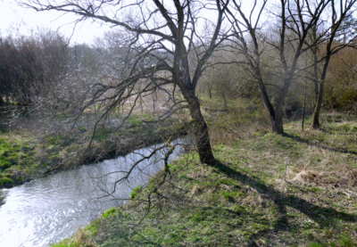 A řeka si tiše plyne