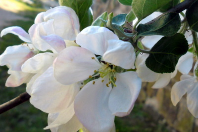 Přijďte se pod nás líbat,  zbývá pár posledních míst. Vstup jen s Láskou!