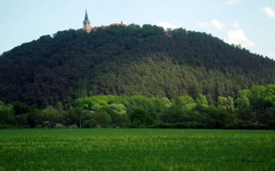 Když se zazelená Zelená Hora