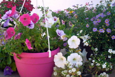 Pořád ještě letní tóny...