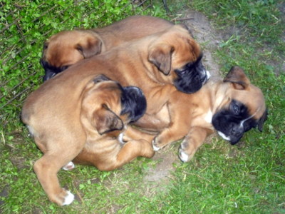 Rozmotá nás někdo?!